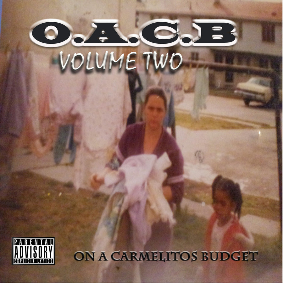 On A Carmelites Budget Volume Two